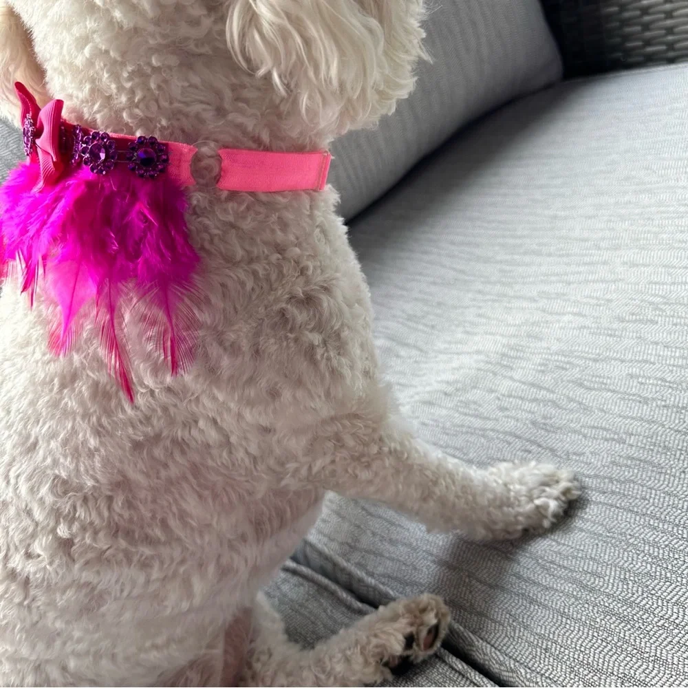 4 Pet Decorative Adjustable Ribbon Strap Collars and Decorative Flower